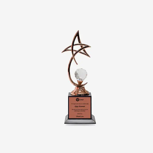 Vital Bronze Star Trophy