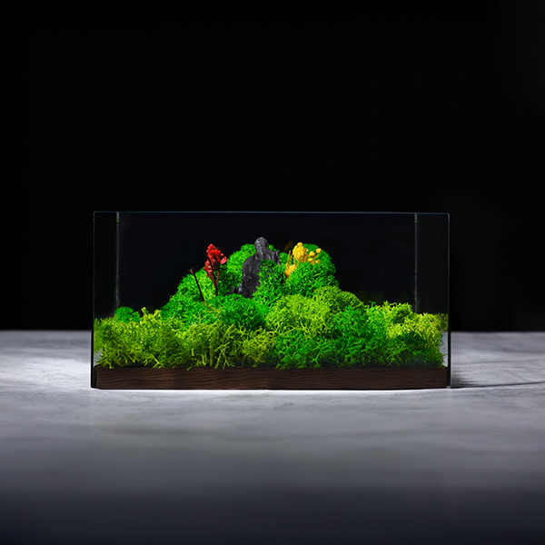 Forever Terrarium (Classic) – Forest Display-2