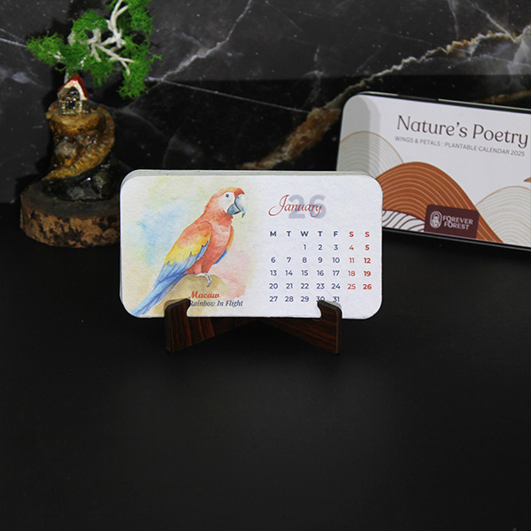 Box Forest – Plantable Calendar-1