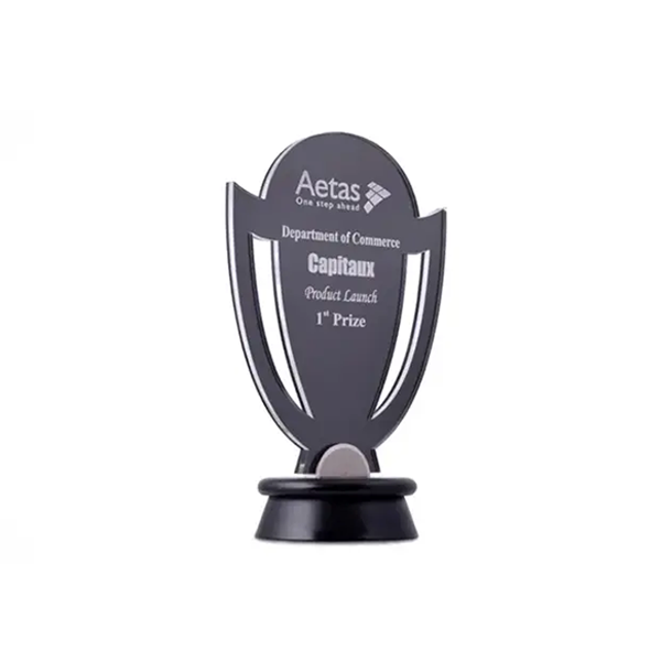 Champion Acrylic Trophy - Sleek Award for Success and Achievement-1