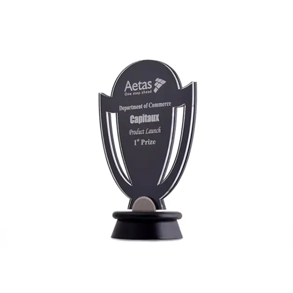 Champion Acrylic Trophy - Sleek Award for Success and Achievement-2