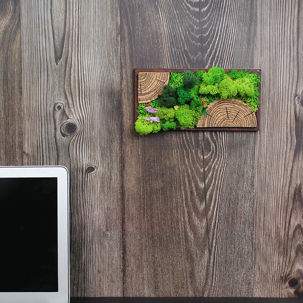 Forest Tile (Panoramic) –  Moss & Cork Art Frame-5