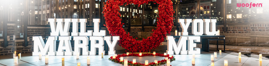 Plan Perfect Proposal in the Heart of Chandigarh & Punjab