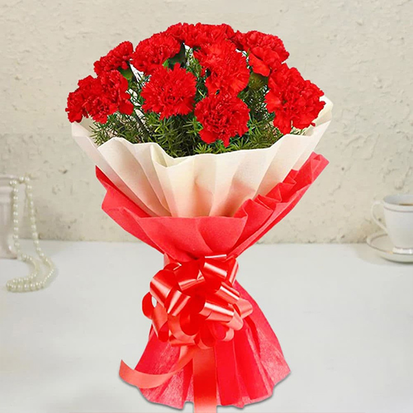 Red Carnation Joy Bouquet