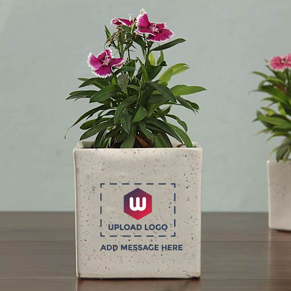 Planter Set of 2 with Logo And Message Customization-2