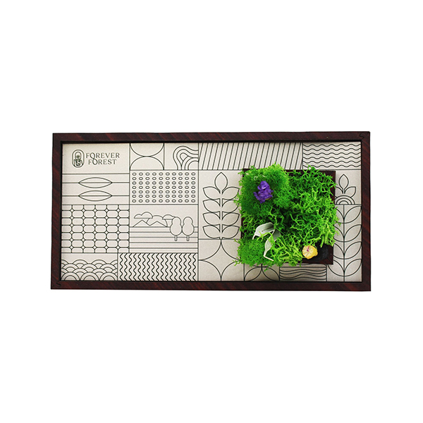 Forest Window – Moss & Art Frame-0