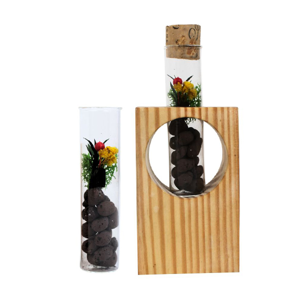 Forest View Desk Companion – Preserved Forest in Glass-0