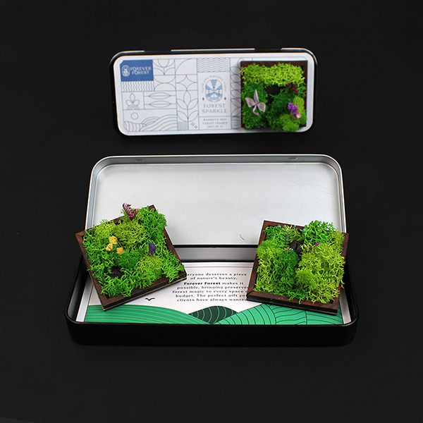 Forest Magnet (Trio) Set - 3-1