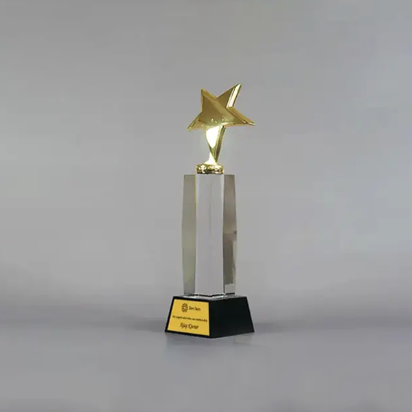 Octavia Crystal Dome Trophy - Celebrate Brilliance-2