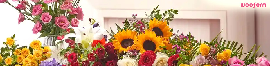 Send Fresh Blooms Online Across Chandigarh Today