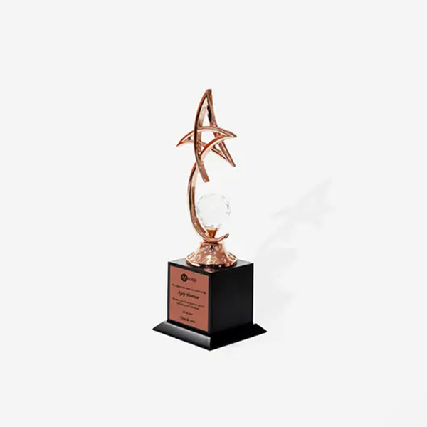 Vital Bronze Star Trophy-1