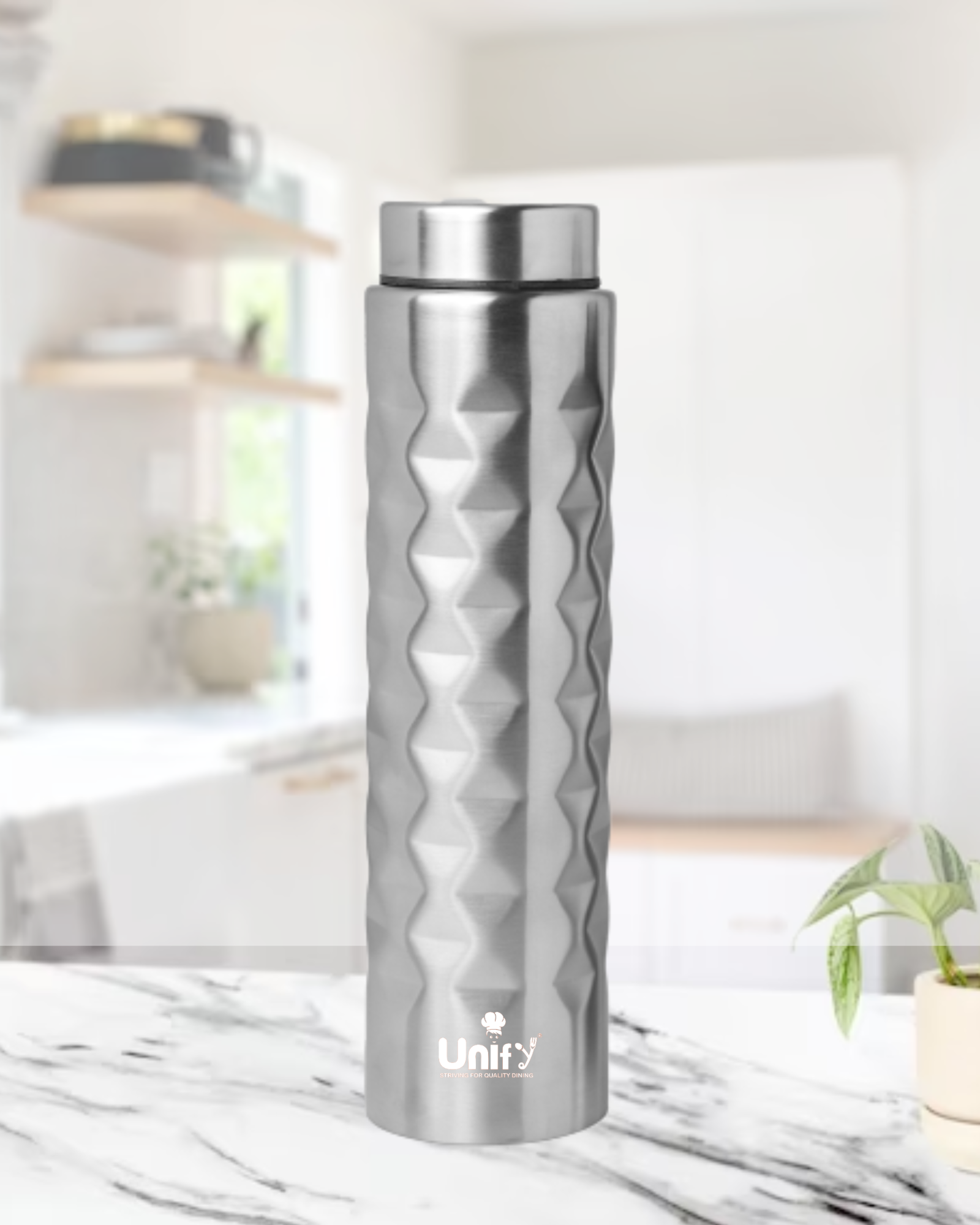 Stainless Steel Bottle 750ml Leak Proof Geometric Prism-0