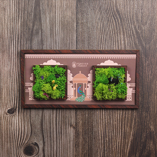 Forest Wall Frame with Moss Tiles-4