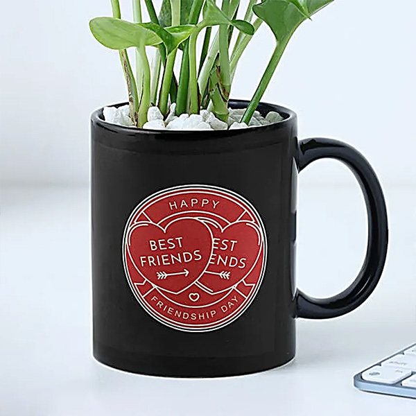 Evergreen Bond Friendship Day Mug with Money Plant-2