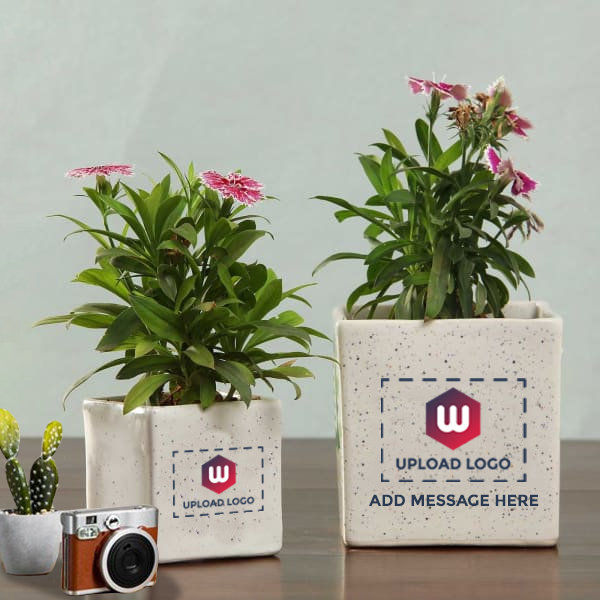 Planter Set of 2 with Logo And Message Customization