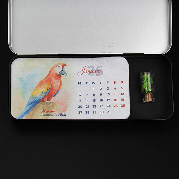 Box Forest – Plantable Calendar-8