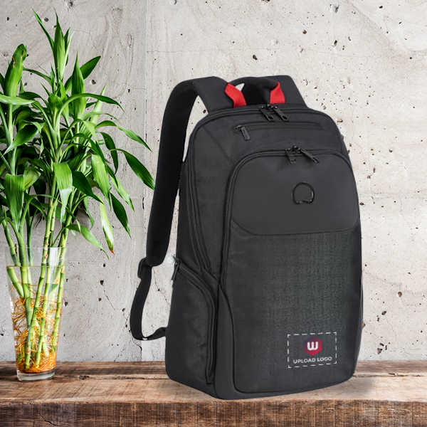 Delsey Parvis Plus Laptop Bag-1