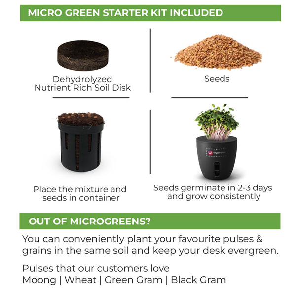 EO Terra - self-watering plant pots-3