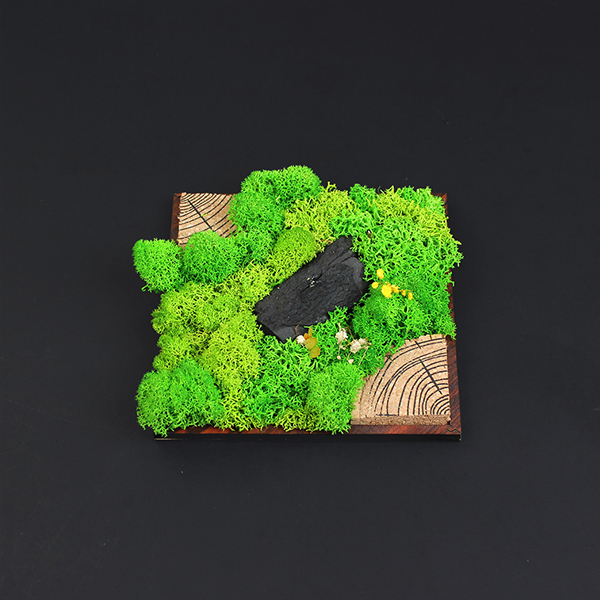 Wall Mounted Forest Tile Plus-3