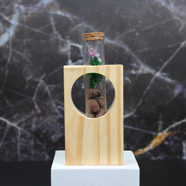 Forest View Desk Companion – Preserved Forest in Glass-7