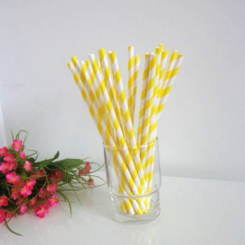 ECO - BIO Yellow Paper Straws for Cocktail Drinking Pack of 50 - 5mm-1