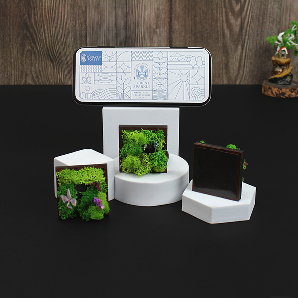 Forest Magnet (Trio) Set - 3-2