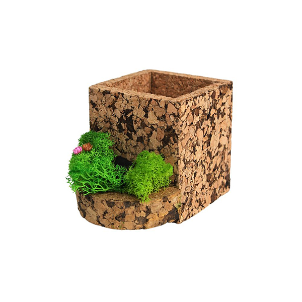 Grove Pod –  Pen Holder with Moss Garden