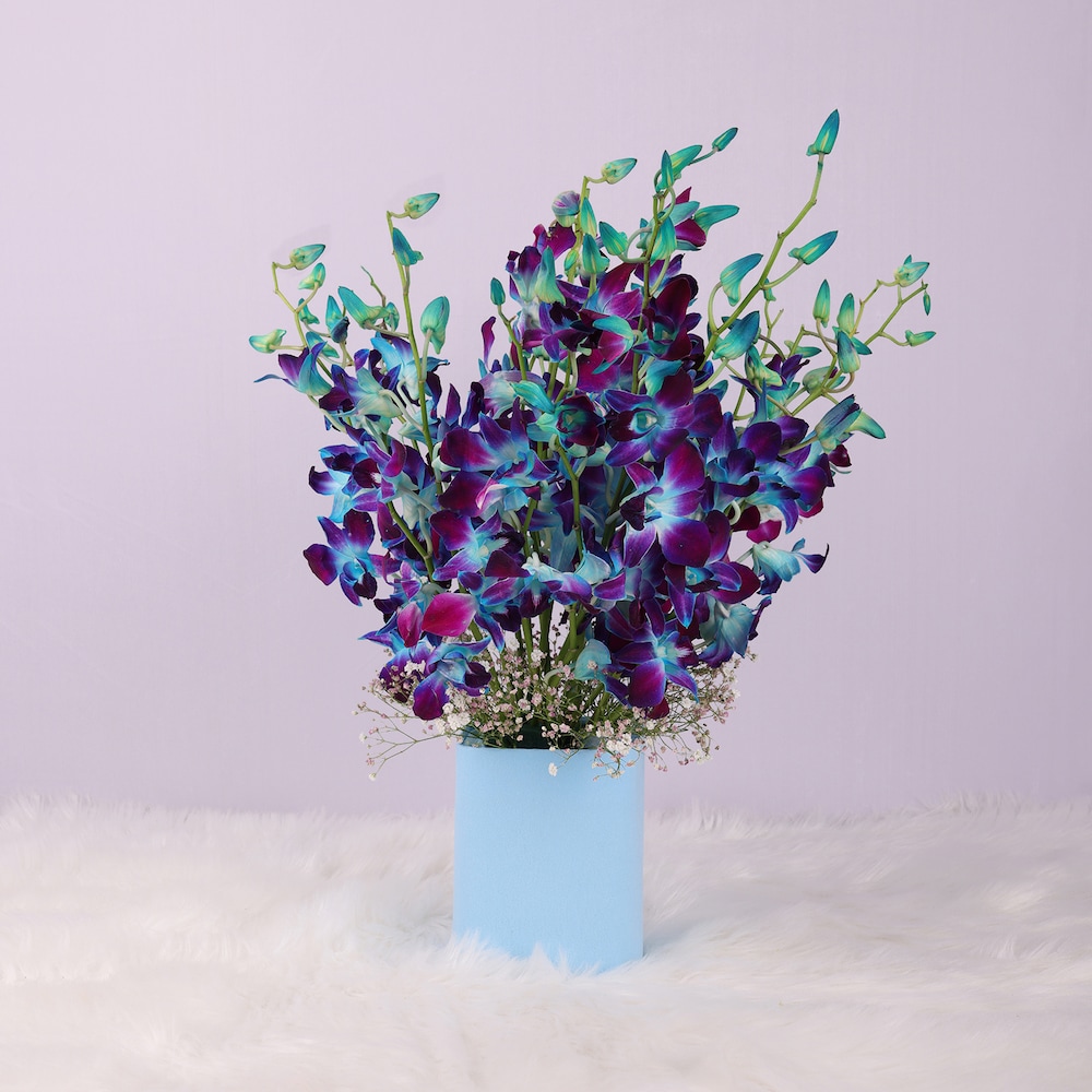 Dreamy Blue Orchids in Vase