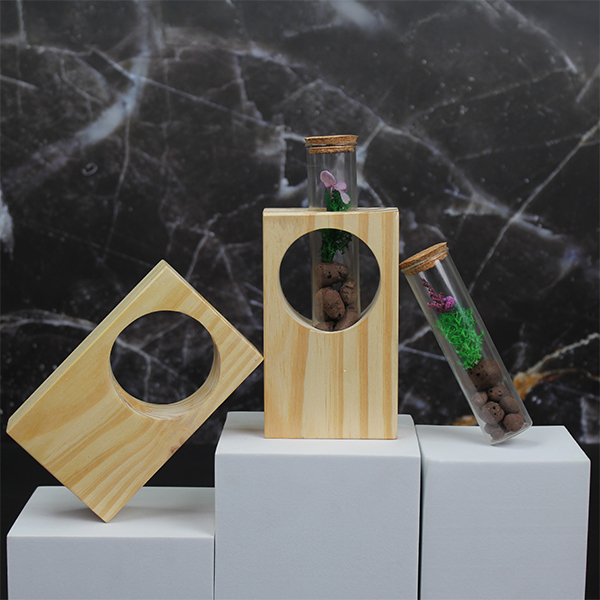 Forest View Desk Companion – Preserved Forest in Glass-1