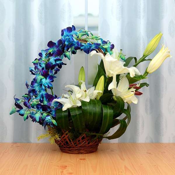 Orchid Basket