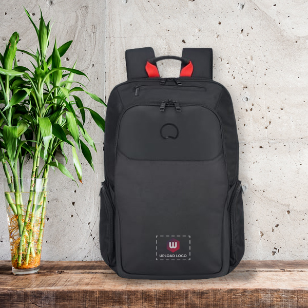 Delsey Parvis Plus Laptop Bag-0