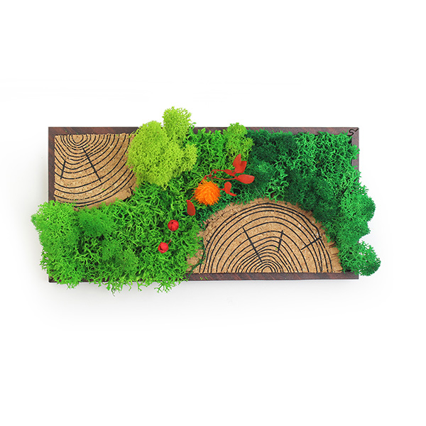 Forest Tile (Panoramic) –  Moss & Cork Art Frame-4