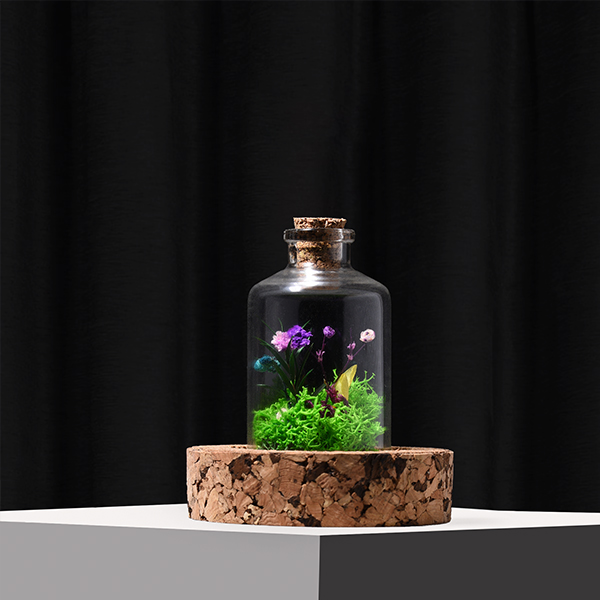 Desk Companion: Forest Dome-1