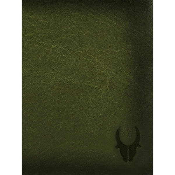 WILDHORN COSTA MESSA Leather Gift Set – Wallet, Keychain & Pen (Forest Green)-4