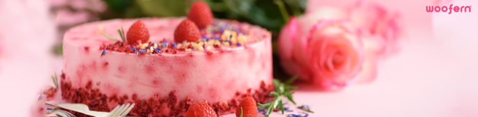 Order Fresh Cakes Online in Chandigarh and Mohali