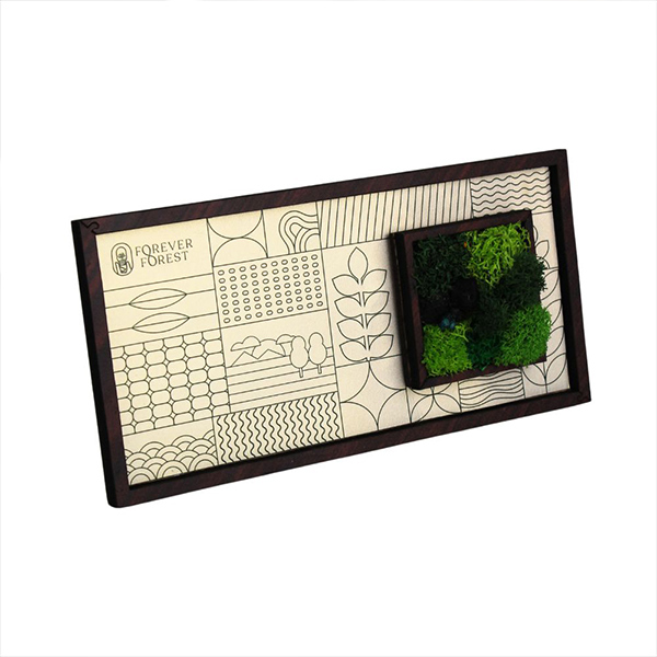 Forest Window – Moss & Art Frame-3