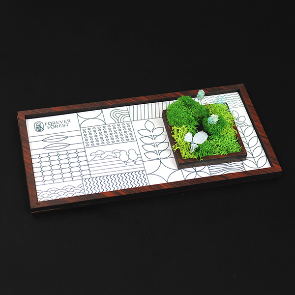 Forest Window – Moss & Art Frame-1