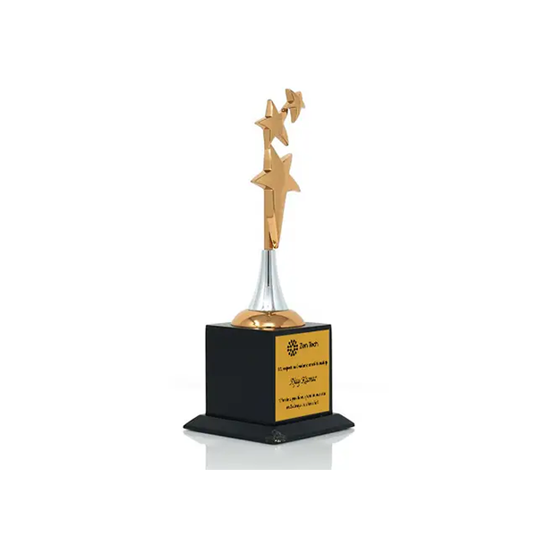 Novel Bronze Wooden Trophy-1