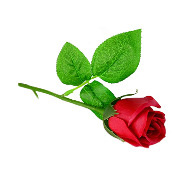 Heart Belongs to You-1