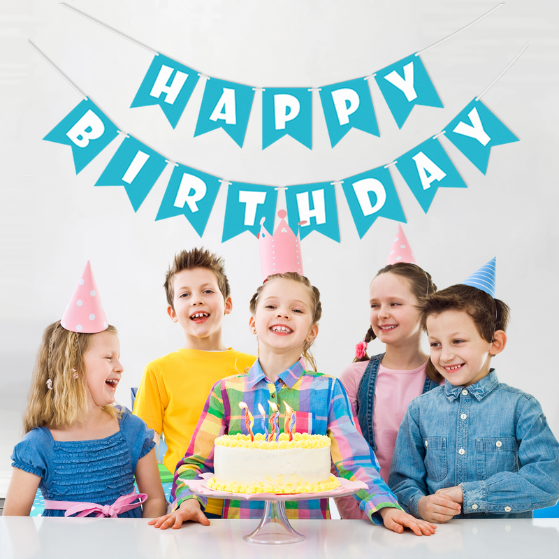 Happy Birthday Banner 13 Pcs  Paper Banner - Blue-1