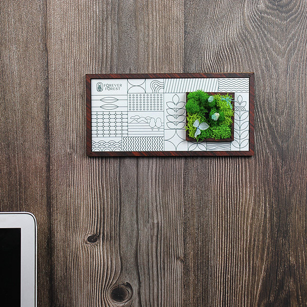 Forest Window – Moss & Art Frame-4