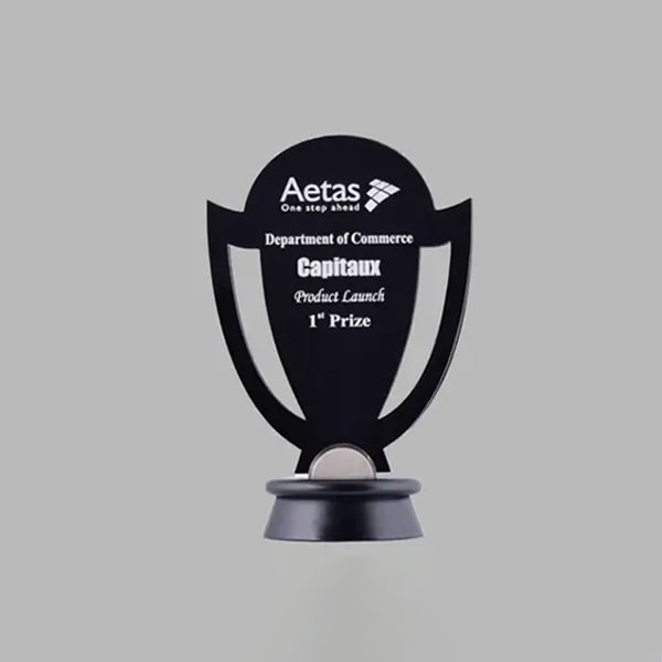 Champion Acrylic Trophy - Sleek Award for Success and Achievement-0