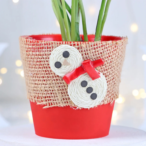 Xmas Gift Money Pant with Red Port-4