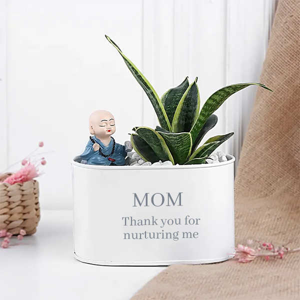 Mom's Nurturing Love Sansevieria Plant