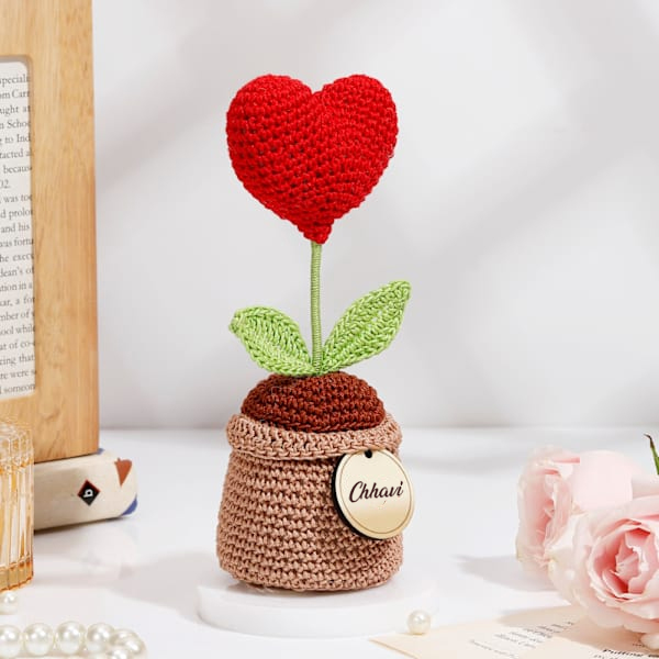Customized Red Crochet Heart in a Pot-2