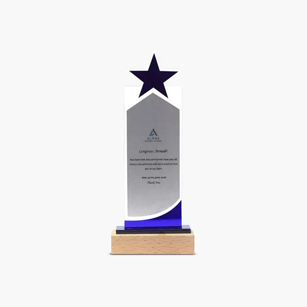 Oasis Trophy with Acrylic Body - 10 Inches-0