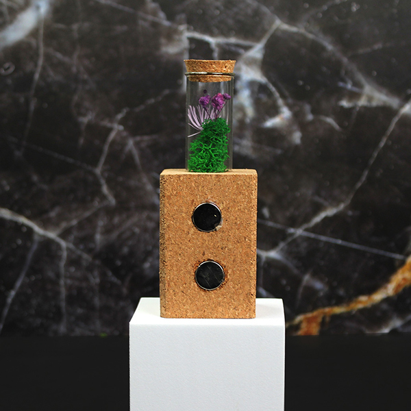 Desk Companion in Pine Wood Frame-2