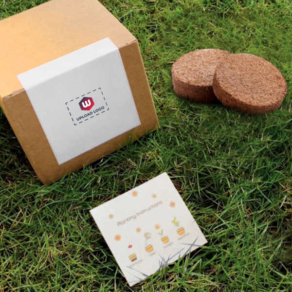 BioQ Brown Round Coco Pot-1