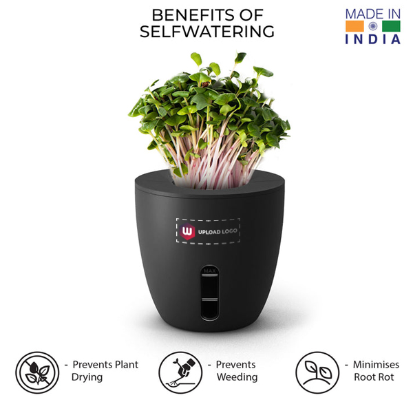 EO Terra - self-watering plant pots-1