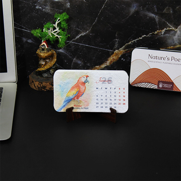 Box Forest – Plantable Calendar-3